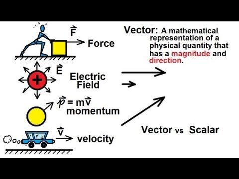 Vector and scalar physics diagram with force, electric field, momentum, and velocity.